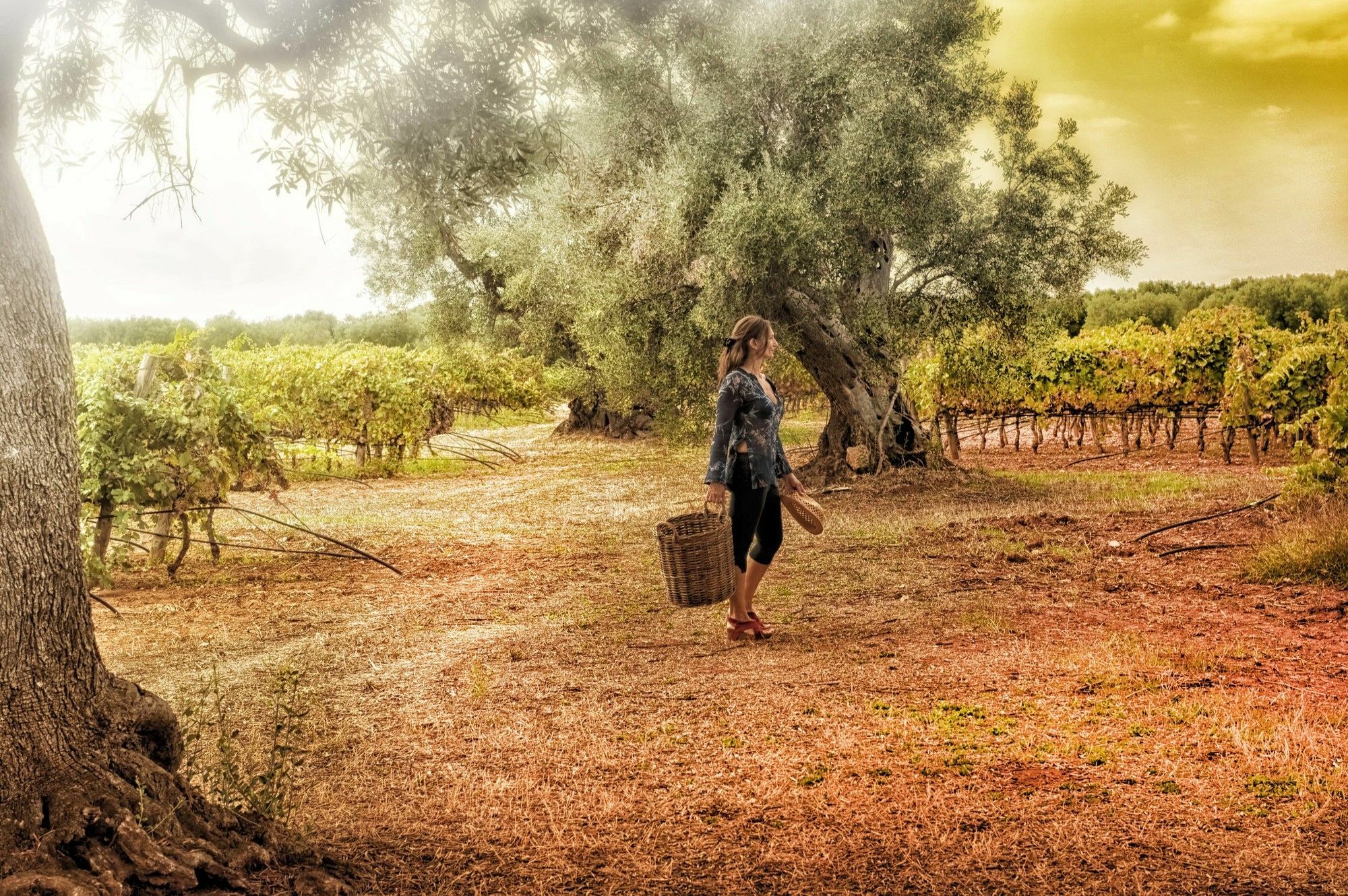 Masseria Le Fabriche Maruggio Ngoại thất bức ảnh